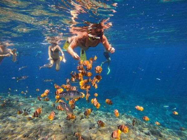 Nusa Penida: Snorkeling at 4 Spots W/ Local Guide & Pictures - Questions You May Have