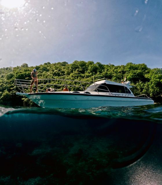 Nusa Penida: Snorkeling in 4 Spots (Manta Rays) Land Tour - Good To Know