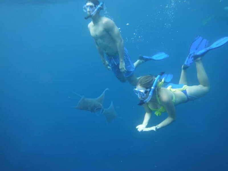 Nusa Penida: Snorkeling & Island Tour All Inclusive Transfer - The Value Proposition