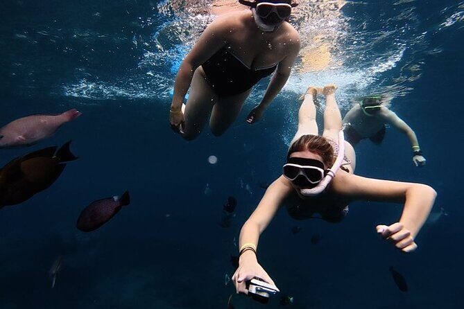 Nusa Penida Snorkeling: Manta Point & Island Day Trip - Good To Know