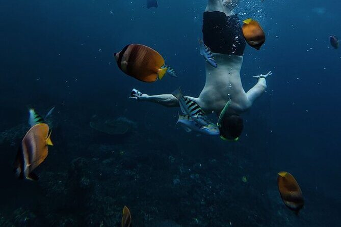 Nusa Penida Snorkeling: Manta Point & Island Day Trip - Practical Tips & Insights