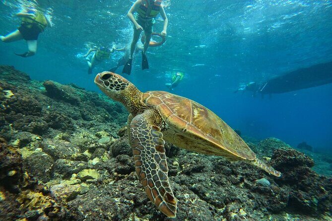 Nusa Penida Snorkeling: Manta Point & Island Day Trip - Final Thoughts on Value and Suitability