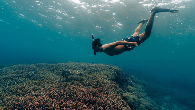 Nusa Penida Snorkeling & Sightseeing Shared Tour by Premium Speedboat - Kelingking Cliff adds a land view to the sea day