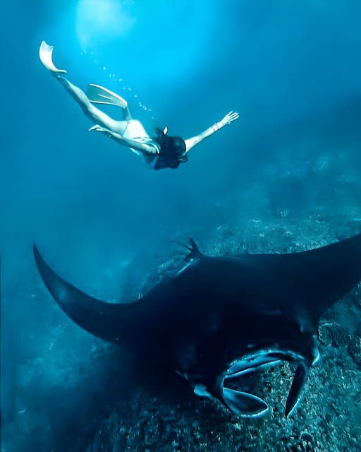 Nusa Penida: Snorkeling Tour With Hotel Transfer From Bali - Inclusions of the Tour