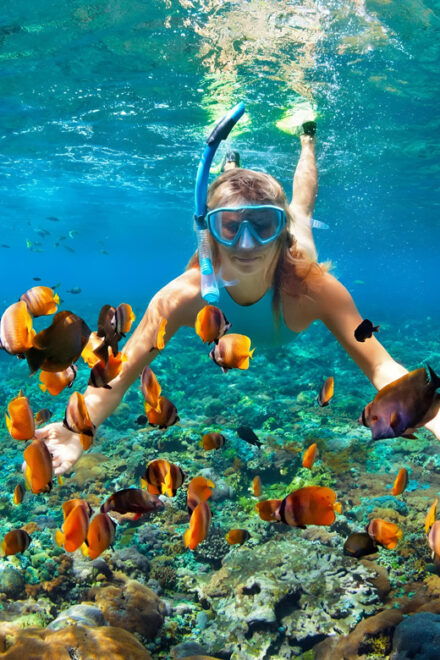 Nusa Penida: Snorkeling Tour With Hotel Transfer From Bali - Important Information
