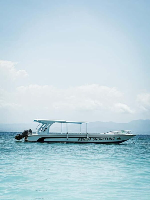 Nusa Penida: Snorkeling Tour with Manta Rays and Turtles - What Makes This Tour Stand Out