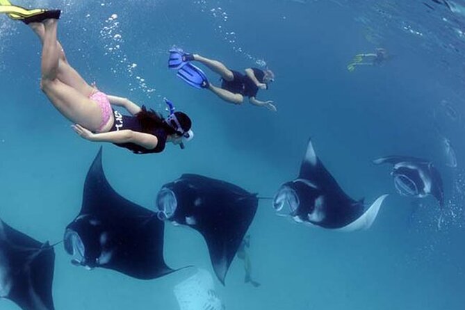 Nusa Penida Snorkeling Tour With Manta Rays - Good To Know