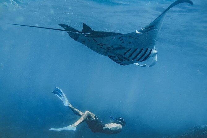 Nusa Penida Snorkeling Tour With Manta Rays - Snorkeling Locations