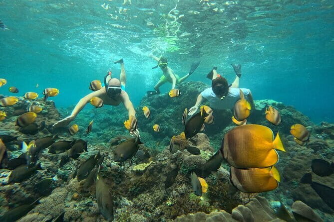 Nusa Penida : Snorkeling Trip Manta Point, Gamat Bay and Wall Bay - An In-Depth Look at the Tour Experience