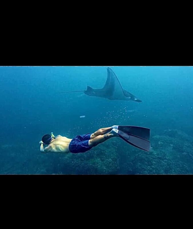 Nusa Penida: Snorkeling with Manta Rays and Island Tour - Practical Tips