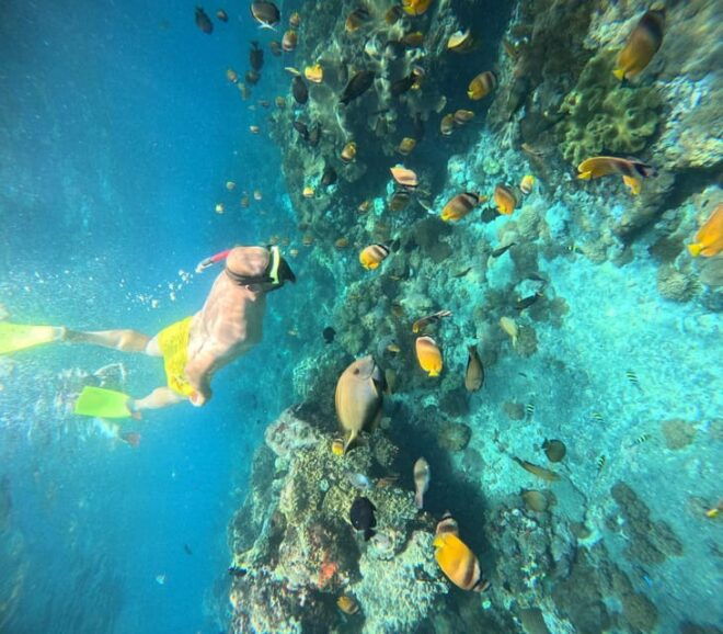 NUSA PENIDA :Snorkling Activities to Manta Point - Important Considerations