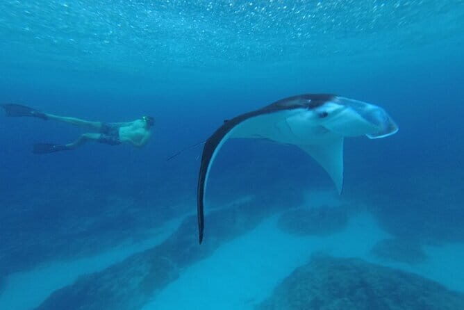 Nusa Penida Snorkling Package - Dive Into the Nusa Penida Snorkeling Experience