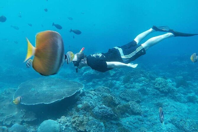 Nusa Penida Special Trip Snorkeling with Manta Rays and Land Tour - FAQ