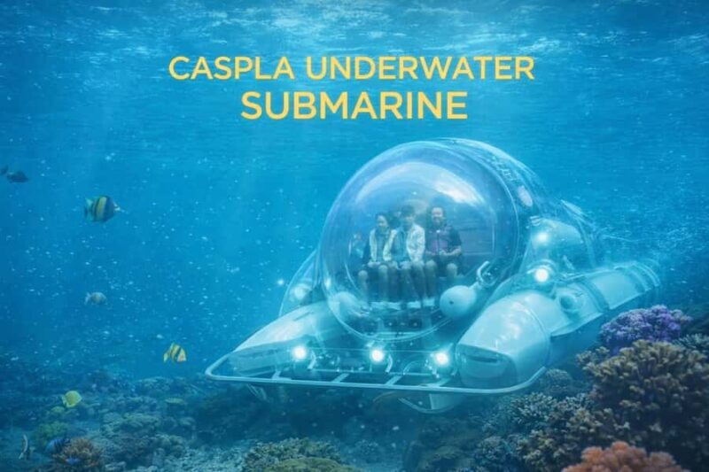 Nusa Penida: Submarine Tour with Panoramic Views - Good To Know