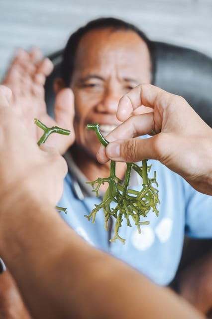 Nusa Penida: Sustainable Seaweed Farming & East Tour - Highlights of the Experience