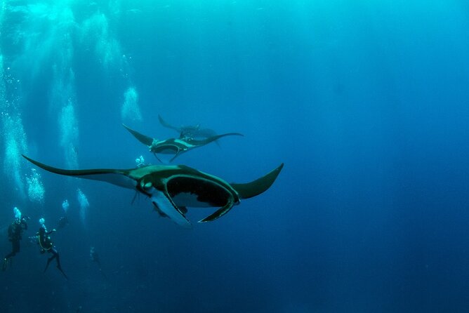 Nusa Penida Tour And Snorkeling Activity - Tour Itinerary