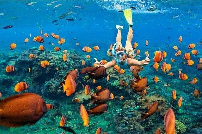 Nusa Penida Trip with Snorkeling all-Inclusive - FAQs