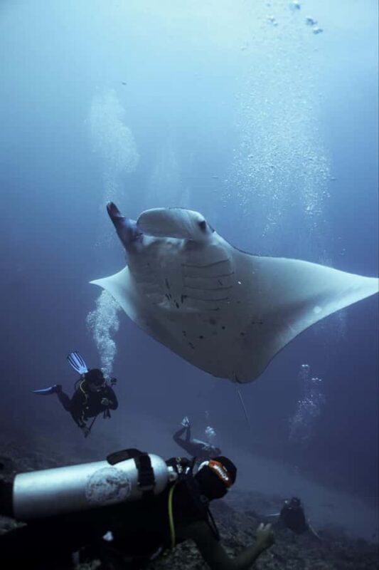 Nusa Penida: Try Scuba Diving with Pool Session and 2 Dives - Final Thoughts