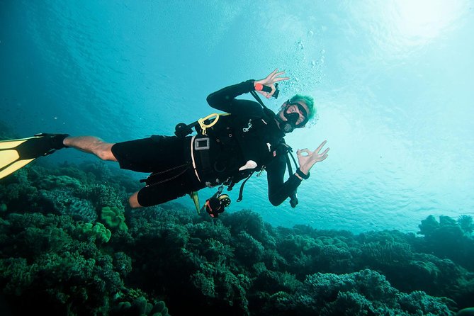 Nusa Penida Two Dives Trip for Certified Divers - Dive Details