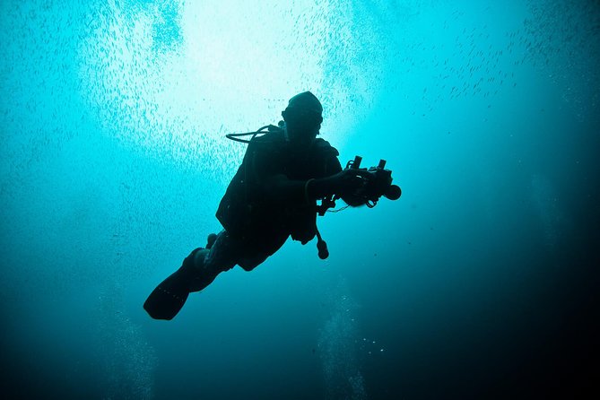 Nusa Penida Two Dives Trip for Certified Divers - Inclusions
