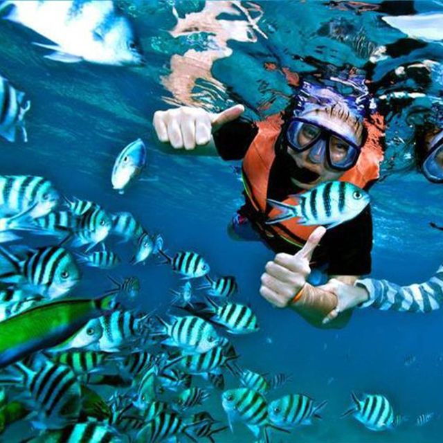 Nusa Penida: Unforgettable Snorkeling Adventure With 4 Spots - Snorkeling at Manta Bay