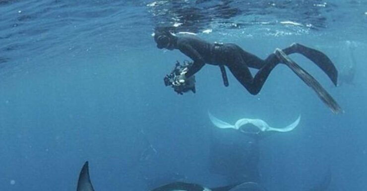 Nusa Penida: Unforgettable Snorkeling Adventure With 4 Spots - Exploring Crystal Bay Marine Life