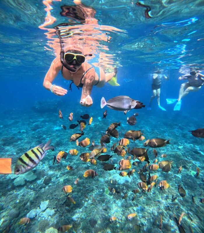 Nusa Penida: West Day Trip with Lunch and Snorkelling Tour - Introduction to the Tour