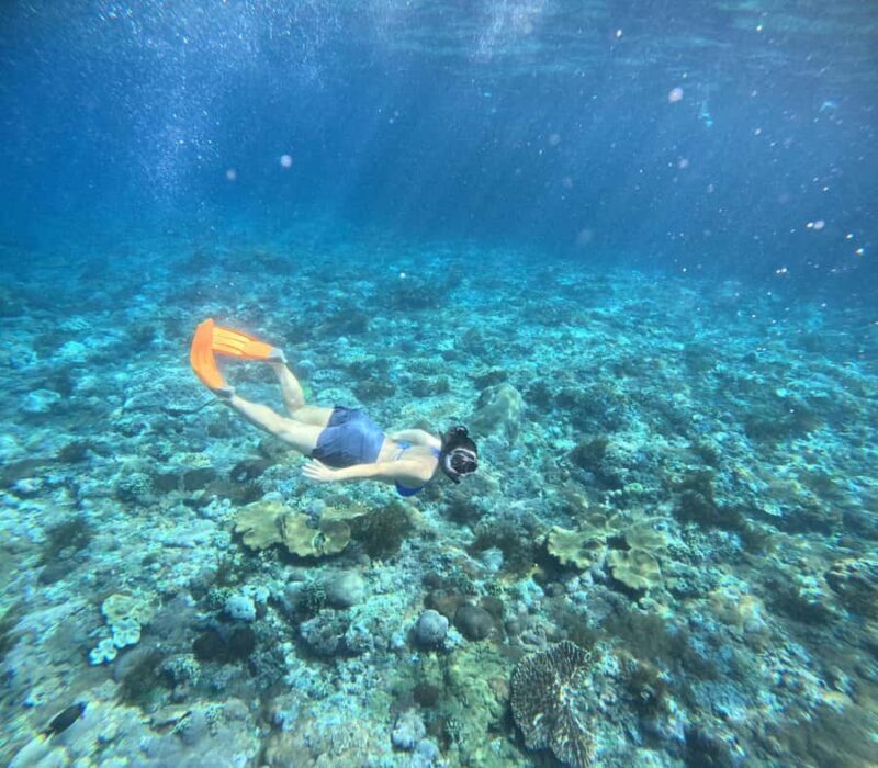 Nusa Penida: West Day Trip with Lunch and Snorkelling Tour - Good To Know  