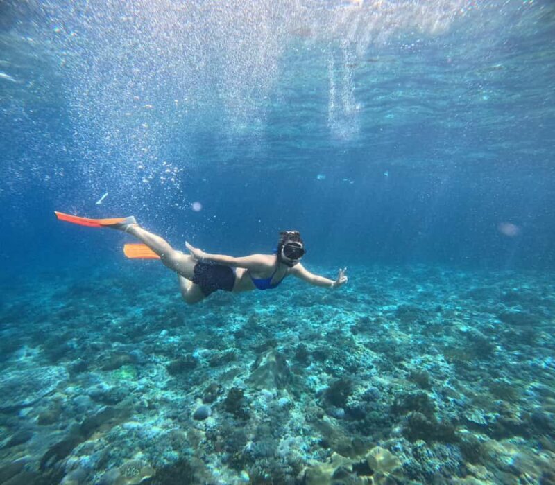 Nusa Penida: West Day Trip with Lunch and Snorkelling Tour - Final Thoughts: Is This Tour for You?  