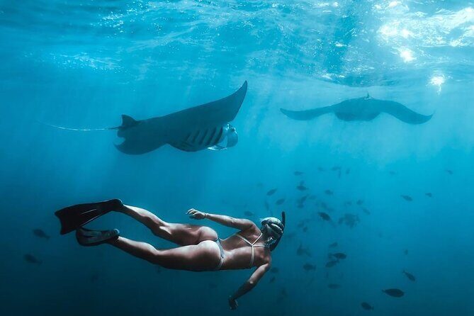 Nusa Penida West Full day Trip with Snorkeling - Good To Know