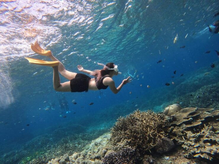 Nusa Penida: West Island Tour and Snorkeling Adventure - Key Points