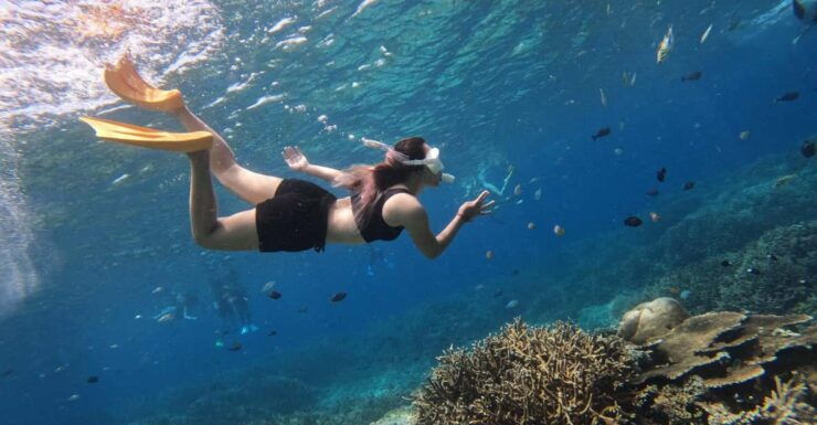 Nusa Penida: West Island Tour and Snorkeling Adventure - Experience Highlights