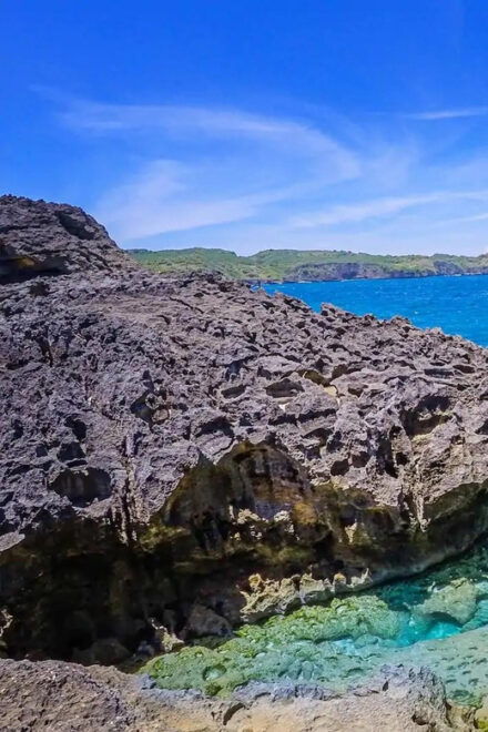 Nusa Penida: West Island Tour and Snorkeling Adventure - Inclusions