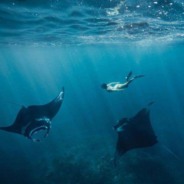 Nusa Penida: West Nusa Penida and Snorkeling Day Tour - Snorkeling Locations