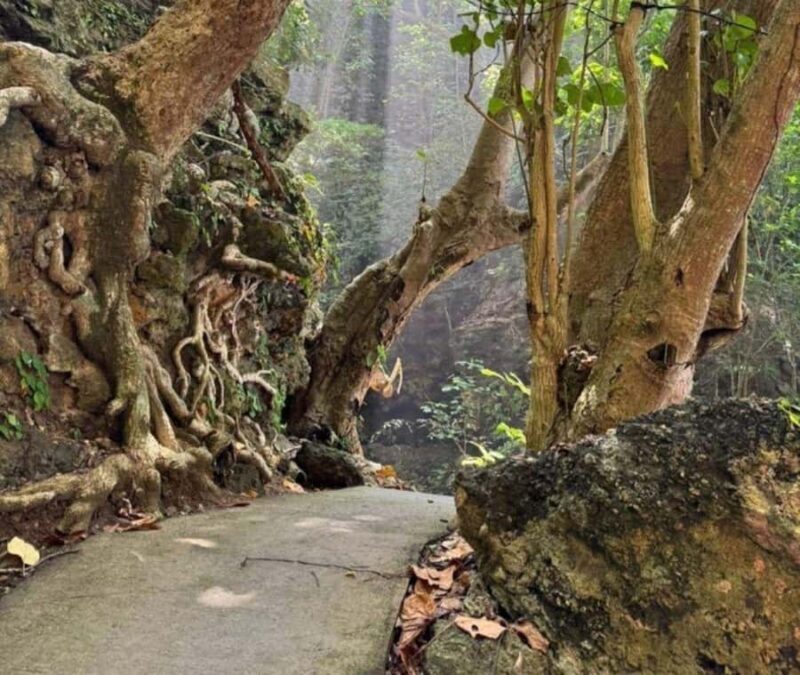Nusa Penida: West Tour & Hidden Tembeling Pool - Good To Know