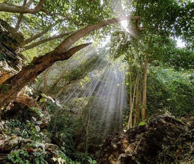 Nusa Penida: West Tour & Hidden Tembeling Pool - Final Thoughts: Who Will Enjoy This Tour?