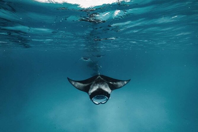 Nusa Penida West Tour With 3 Spots Snorkeling (All-Inclusive) - Snorkeling Spots