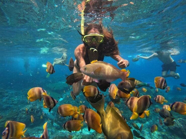 Nusa Penida:4 Most Extraordinary Snorkeling Spots With Guide - Manta Bay: Encounter Majestic Manta Rays