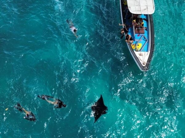 Nusa Penida:4 Most Extraordinary Snorkeling Spots With Guide - Common Questions