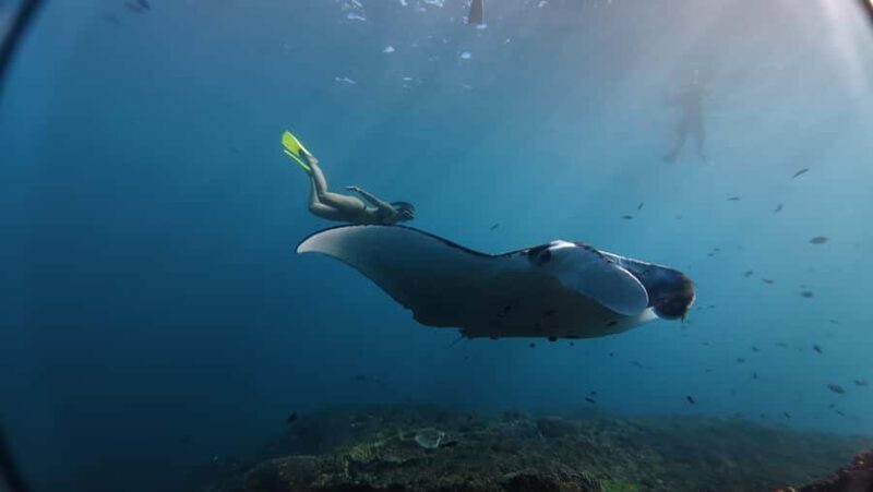 Nusa Penida:Private Land Tour & Snorkeling Nusa Penida - Final Thoughts