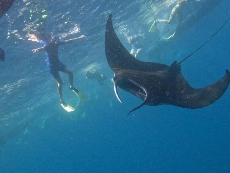 Nusapenida Snorkeling and Land Tour - Discovering Nusapenida: An Ocean of Possibilities