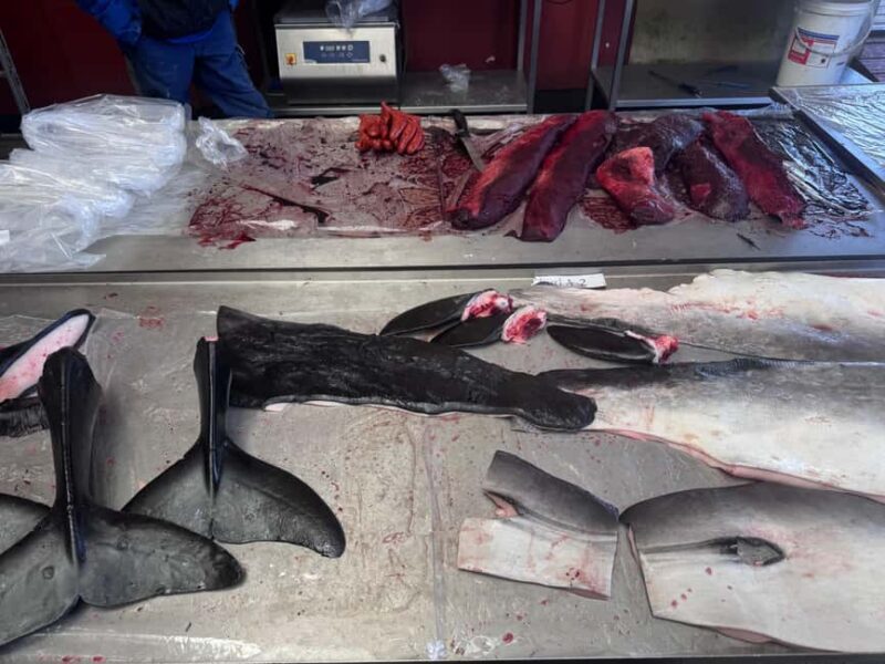 Nuuk: Food and Culture Walking Tour with Tastings - Good To Know