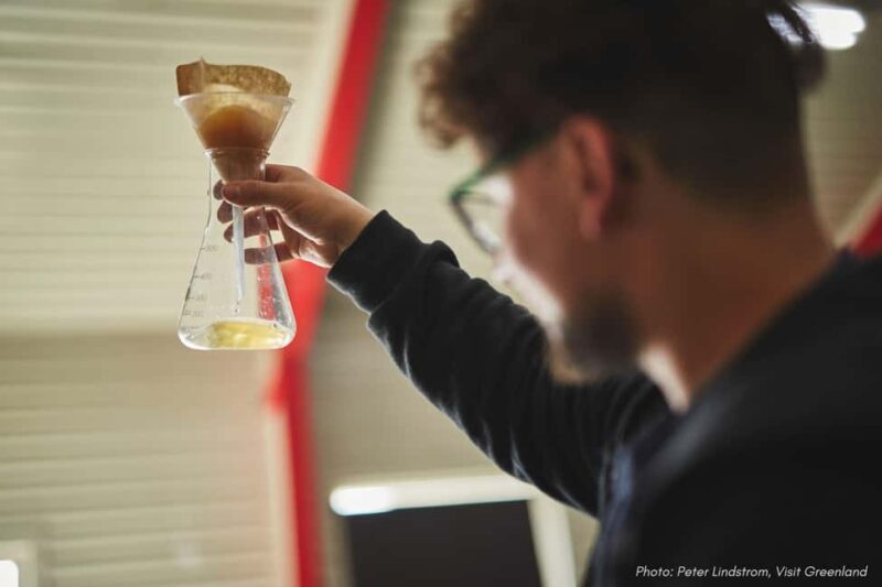 Nuuk: Greenlandic Beers, Burgers and Samplers Tasting Tour - Final Thoughts