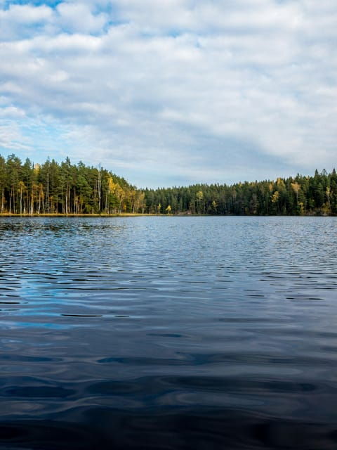 Nuuksio National Park Hiking Experience From Helsinki - Good To Know