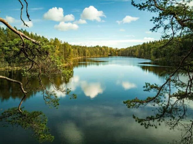 Nuuksio National Park Hiking Experience From Helsinki - Highlights of the Tour