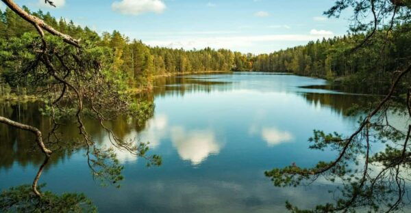 Nuuksio National Park Hiking Experience From Helsinki - Transportation Details
