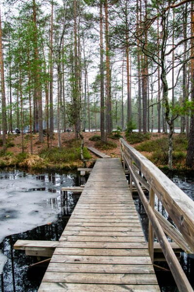 Nuuksio National Park Hiking Experience From Helsinki - Important Considerations