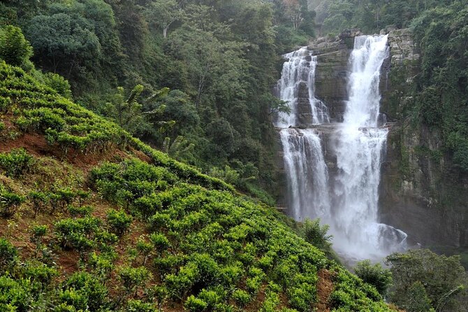 Nuwara Eilya Sightseeings Day Tours With Krishna - Explore Nuwara Eliyas Natural Beauty
