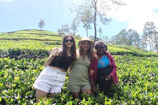 Nuwara Eliya 2 Tea Factory Tea Test &Pick 2 Waterfalls Nature Day - FAQ