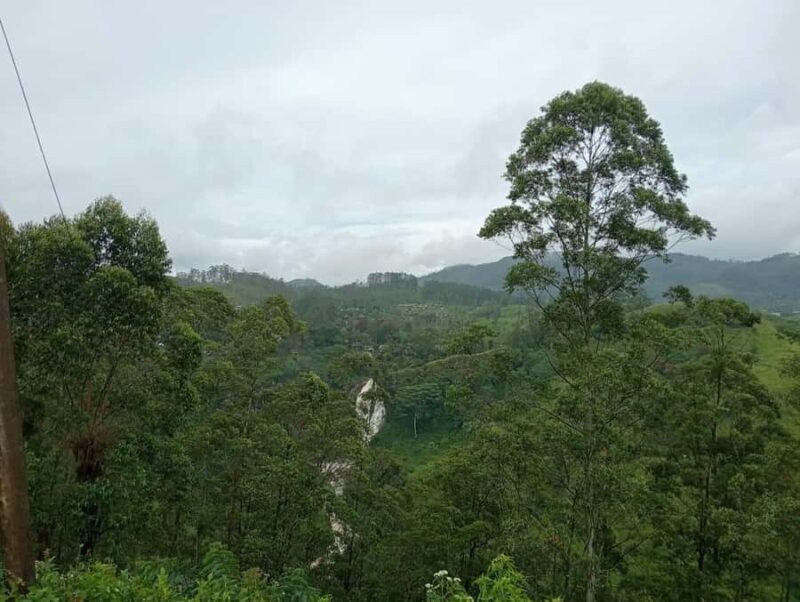 Nuwara Eliya: 8Hrs Tuk Tuk Tour to Waterfalls & Tea Tasting - Good To Know